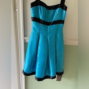 Jessica McClintock dress